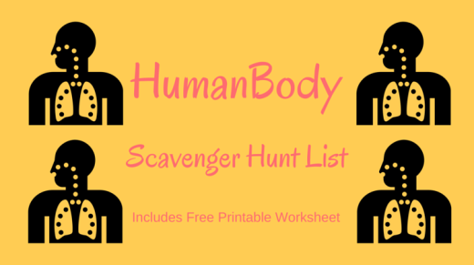 free-human-body-scavenger-hunt-list-to-download-and-print