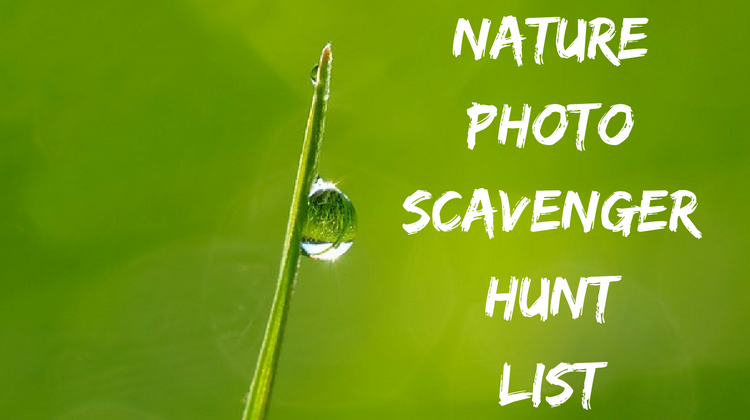 nature-photo-scavenger-hunt-list