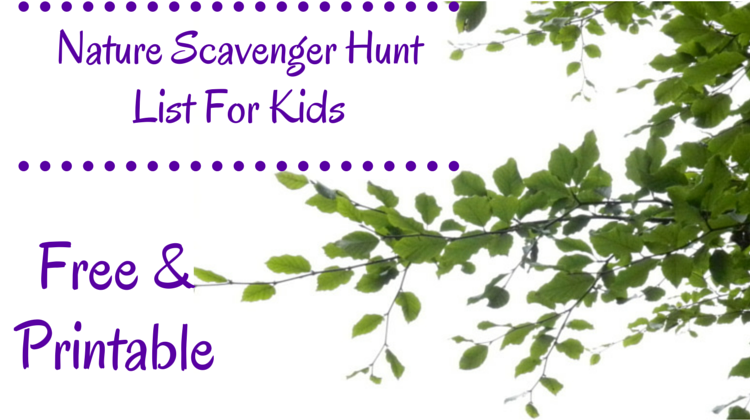 Nature Scavenger Hunt List For Kids