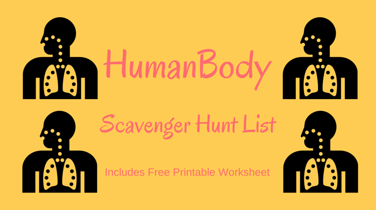 Human Body Scavenger Hunt List