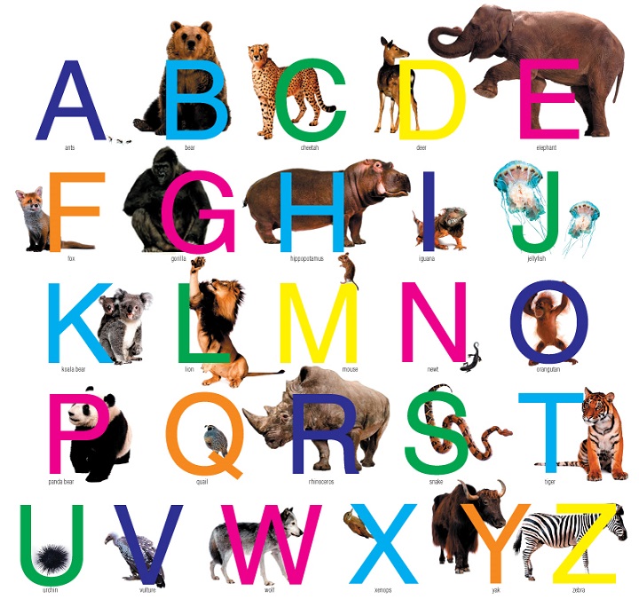 Zoo Scavenger Hunt Ideas – Alphabet Animals — Scavenger Hunt
